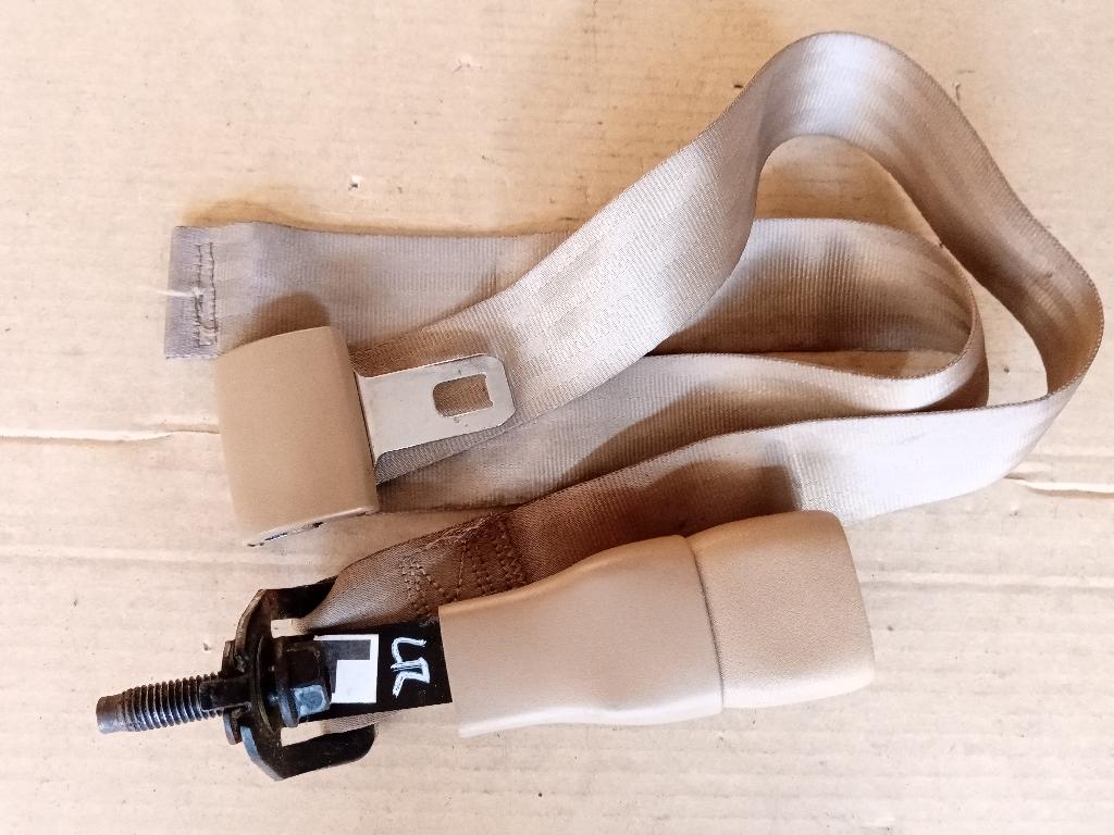 Left Rear Seat Belt Stalk