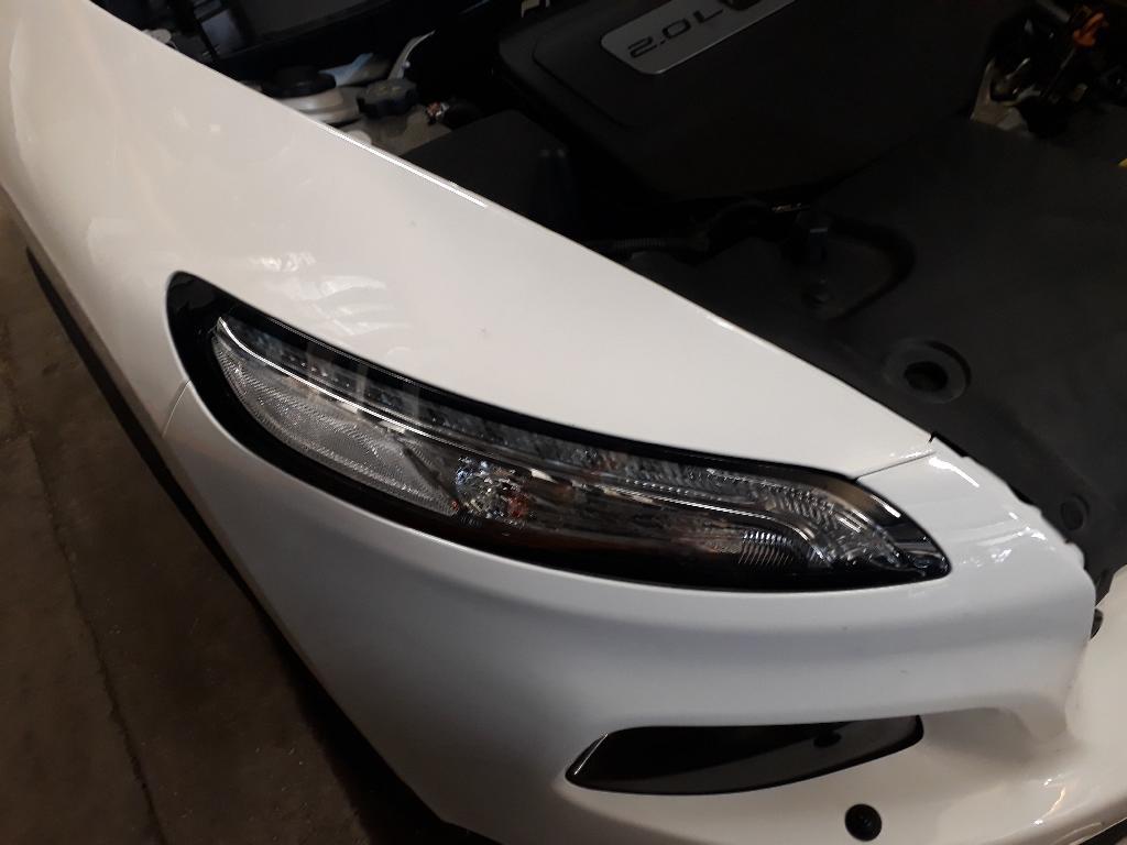 Right Repeater Light