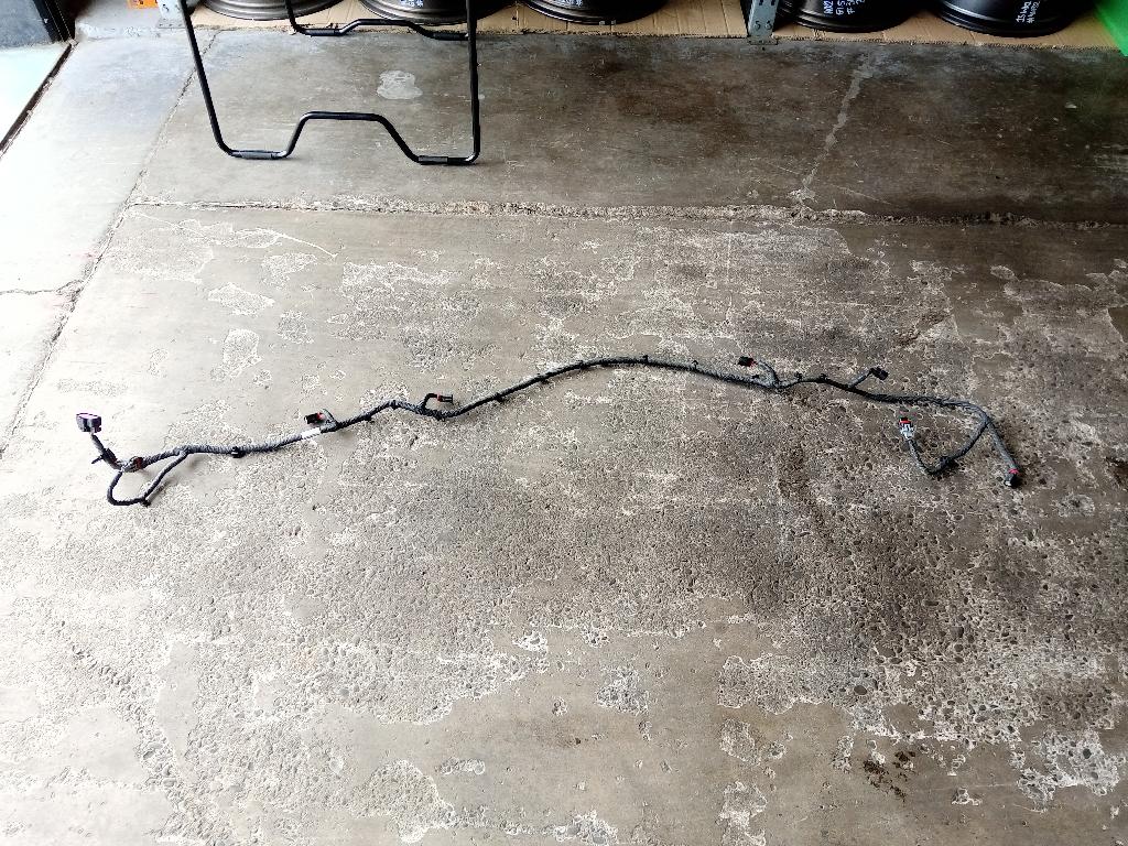 Front Bumper-Wiring Harness