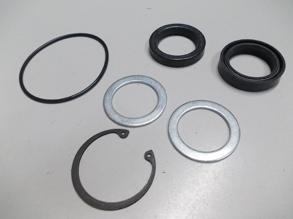 Power Steer Seal Kit-pitman kit