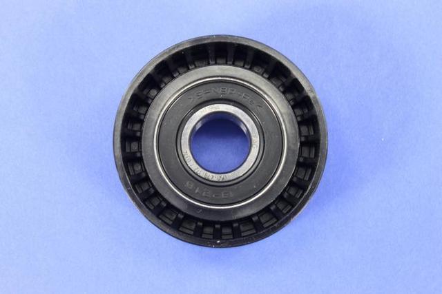 Idler Pulley