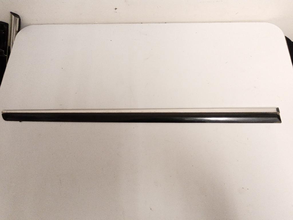 Right Rear Door Moulding