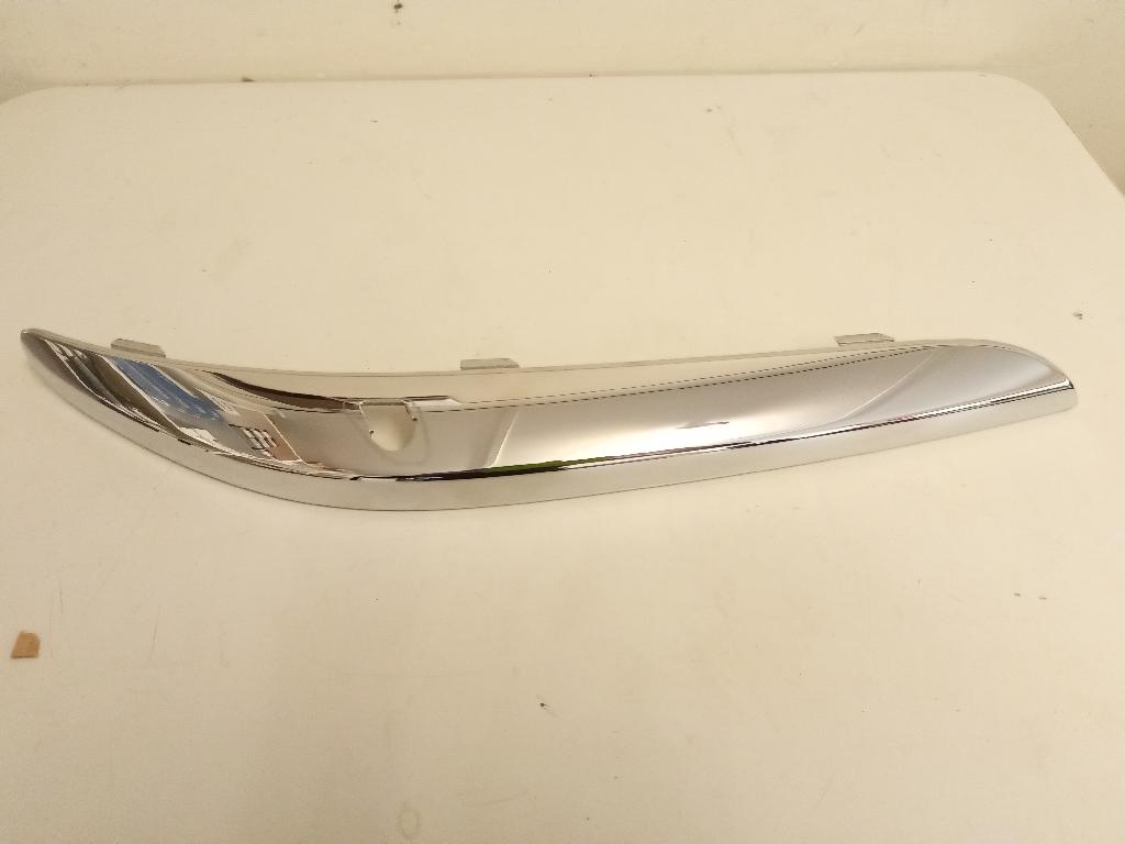 Right Front Bumper Moulding