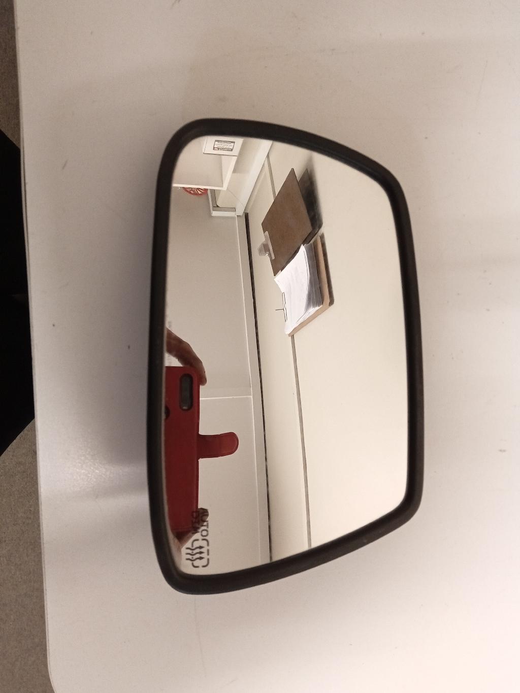 Left Door Mirror