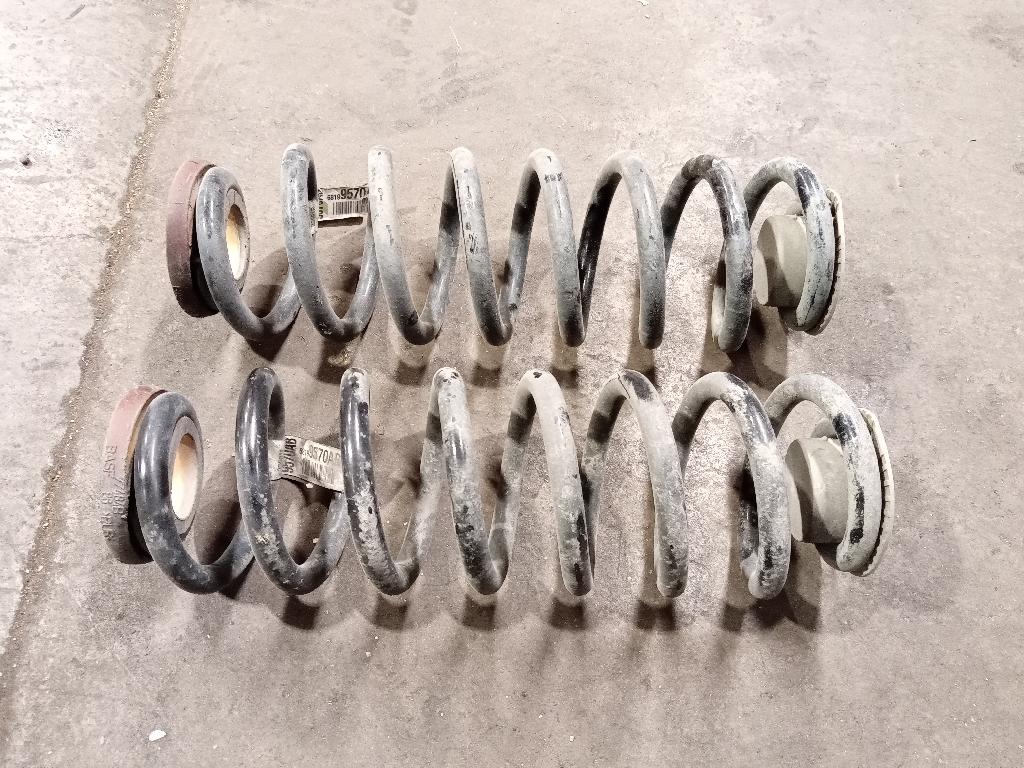 Rear Coil Spring