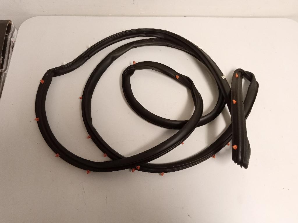 Left Rear Door Rubber