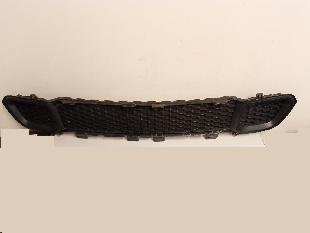 Front Bumper Mesh