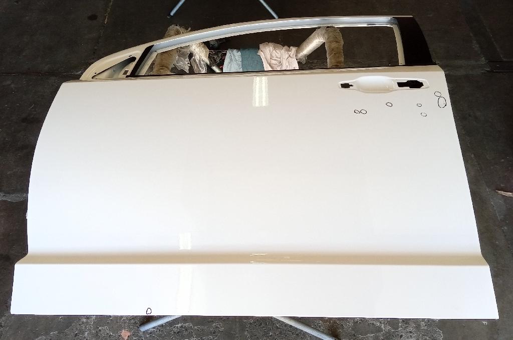 Left Front Door Shell