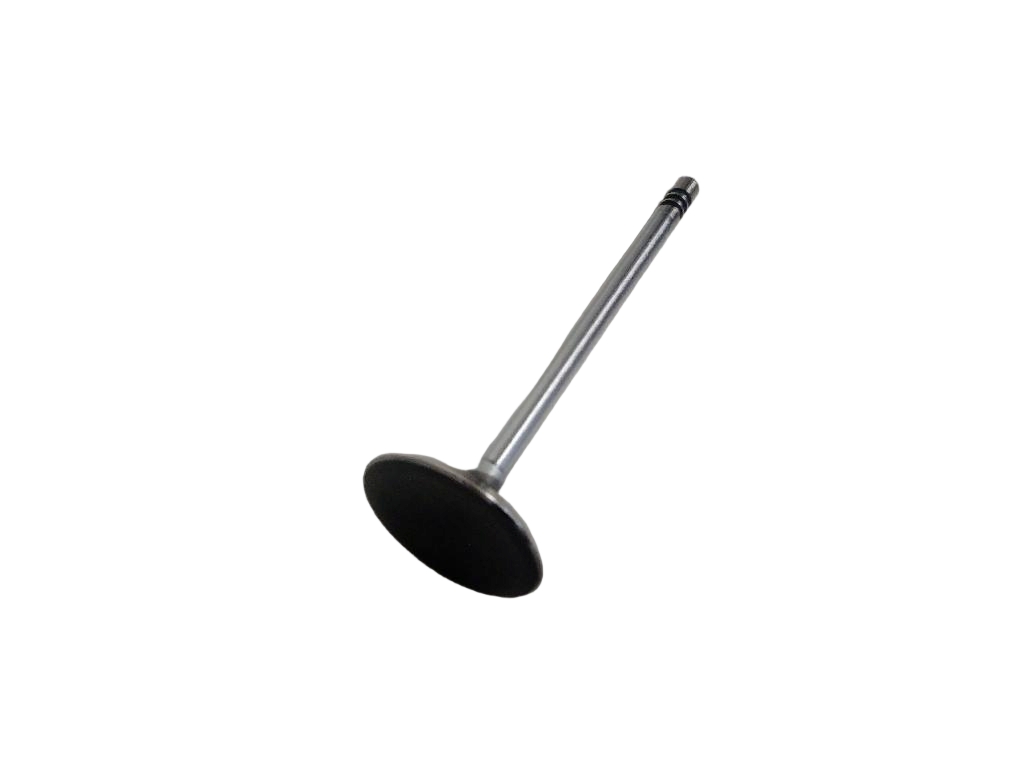 Engine Inlet Valve
