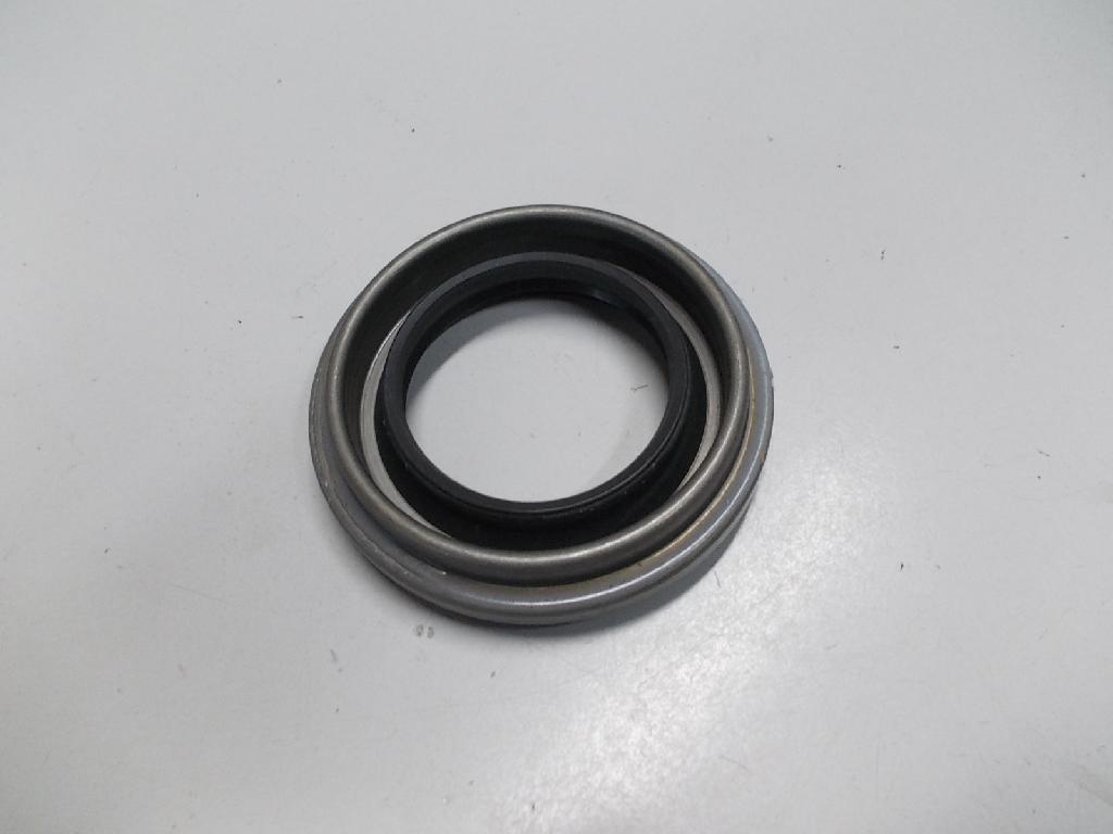 Diff Pinion Seal-rear non lip