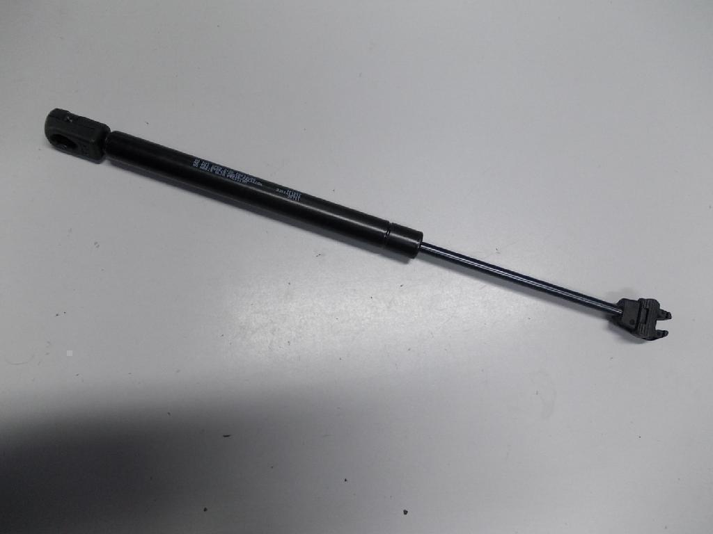 Bonnet Gas Strut