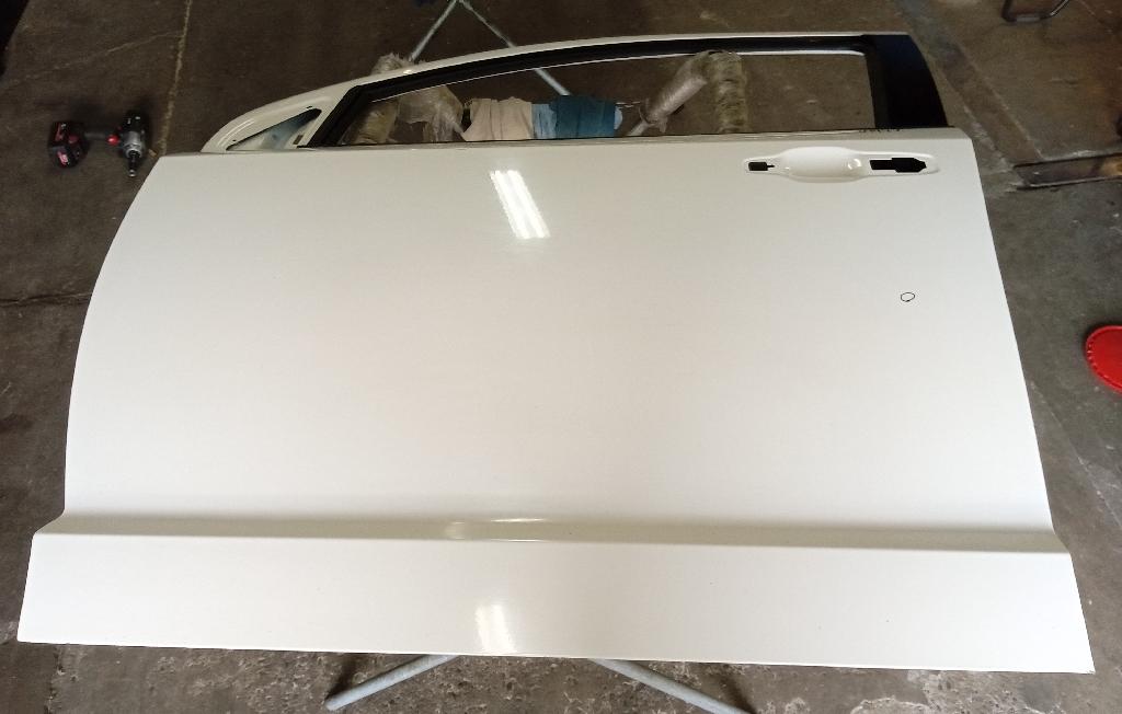 Left Front Door Shell