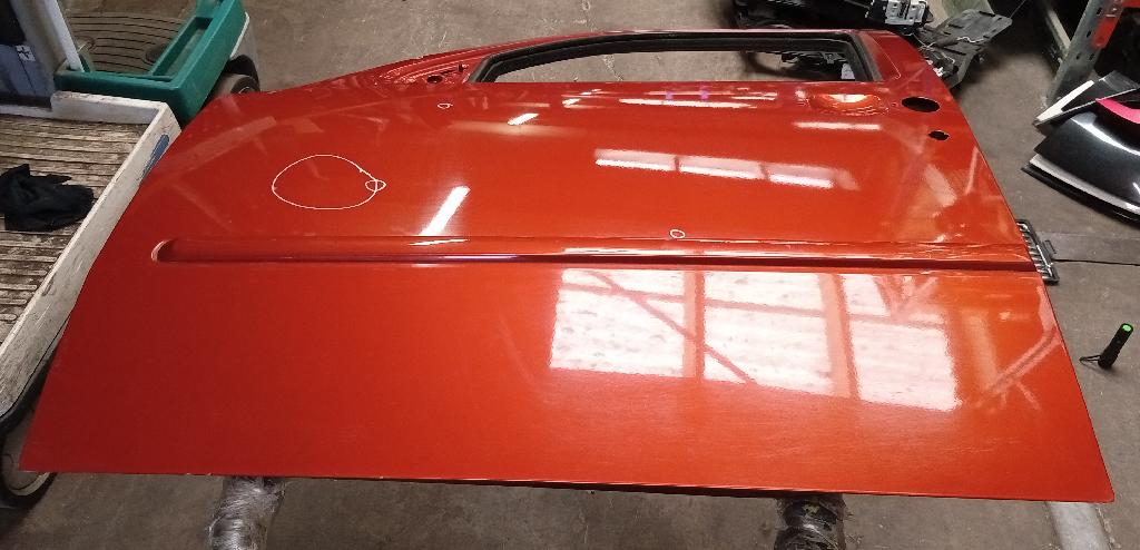 Left Front Door Shell