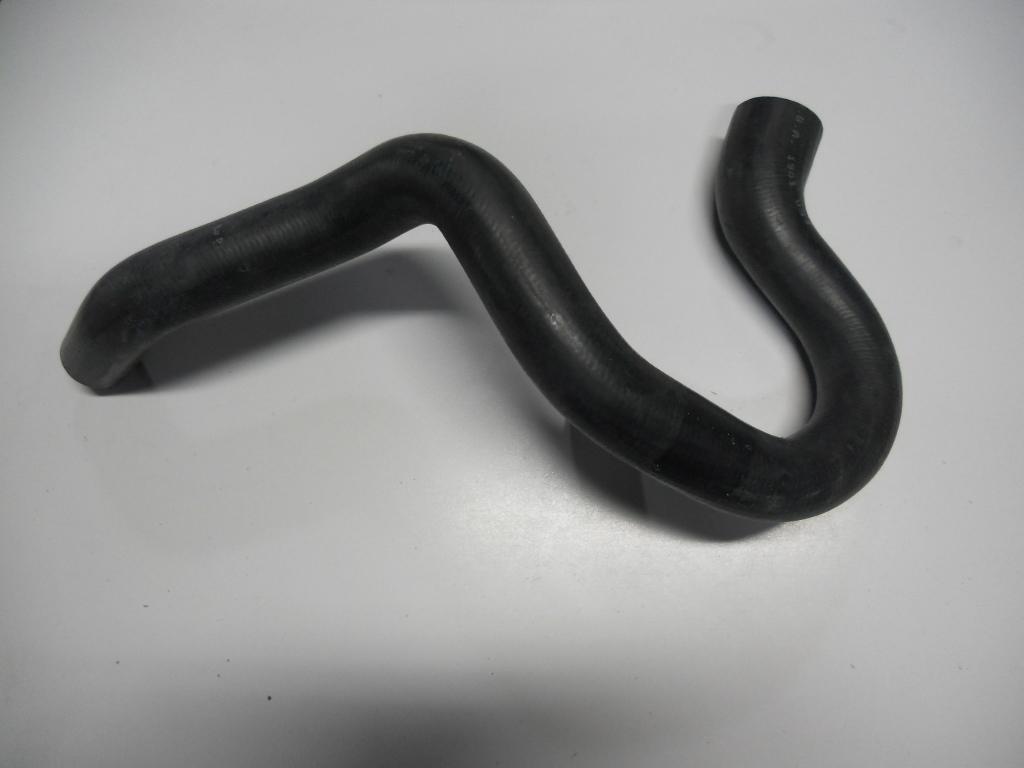 Radiator Lower Hose