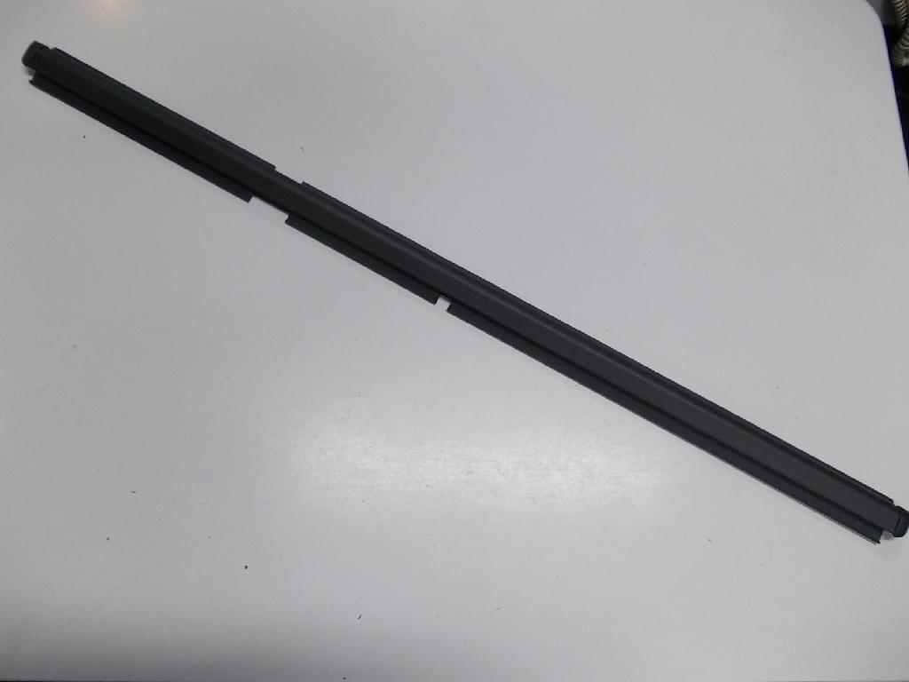 Right Rear Door Weather Strip Mould