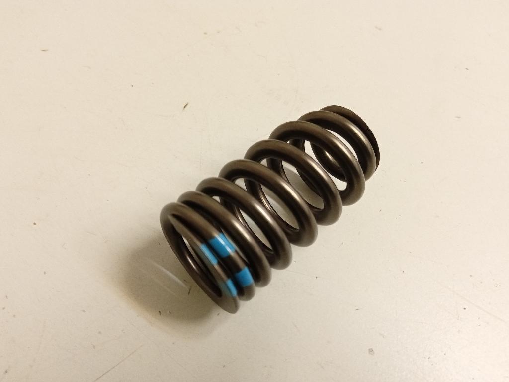 Valve Spring 6.4 2011-2024