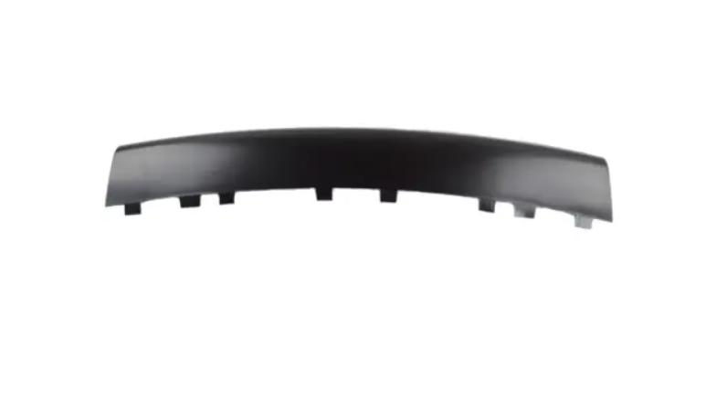 Front Bumper Moulding