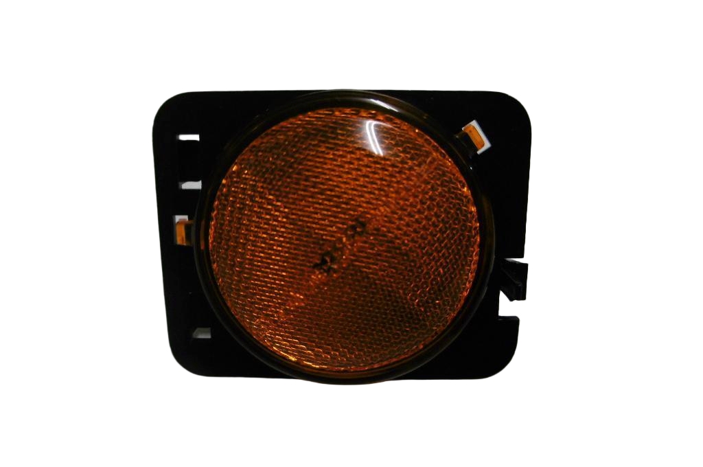 Right Repeater Light