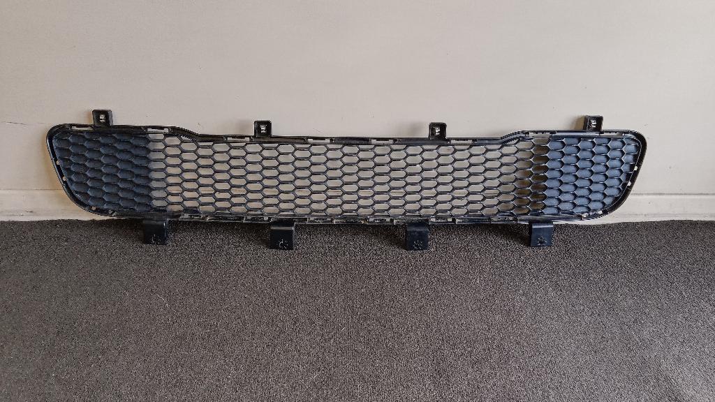 Front Bumper Mesh