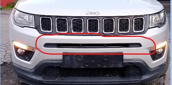 Radiator Grille