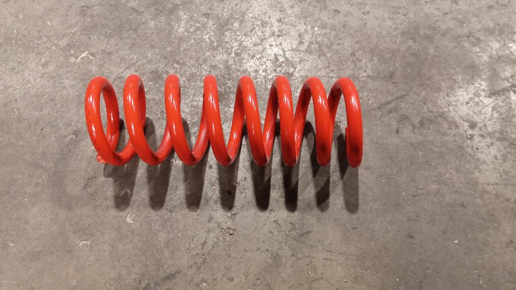 Right Rear Coil Spring