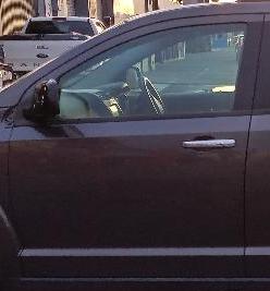 Left Front Door Shell