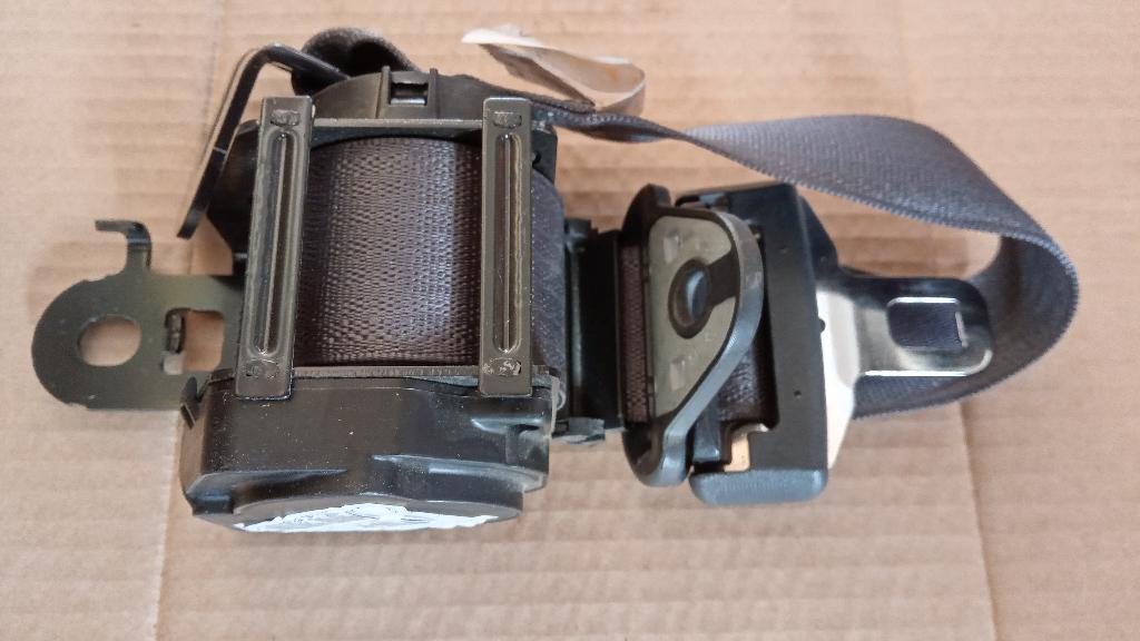 Left Rear Seat Belt