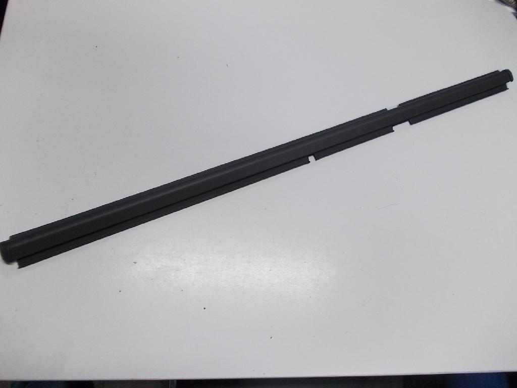 Left Rear Door Weather Strip Mould