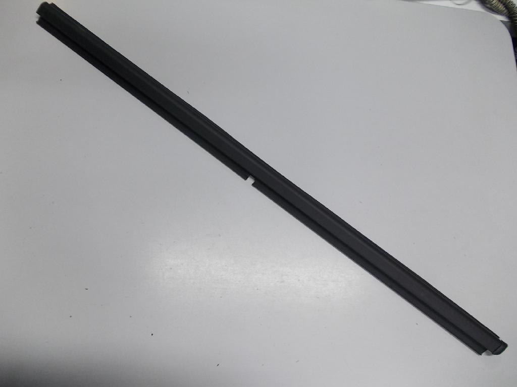 Left Front Door Weather Strip Mould