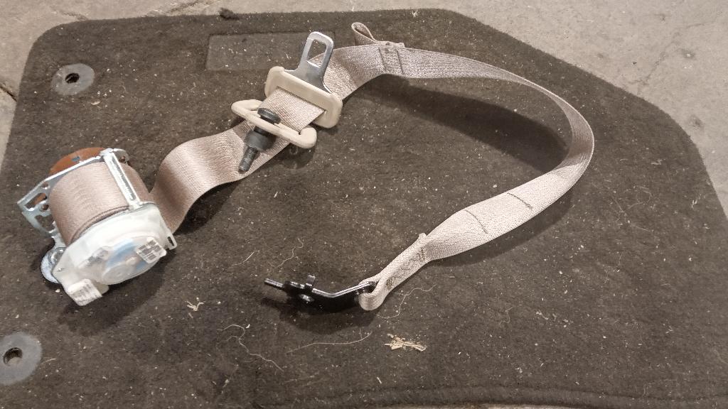 Left Rear Seat Belt
