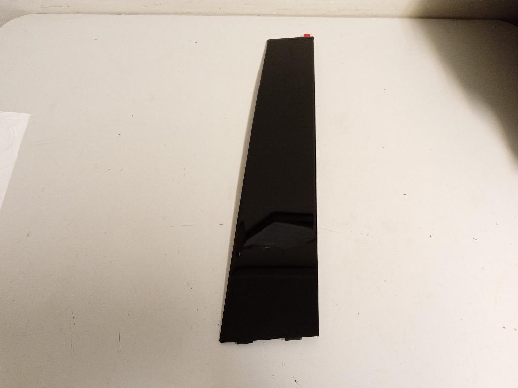 Left Rear Door Moulding