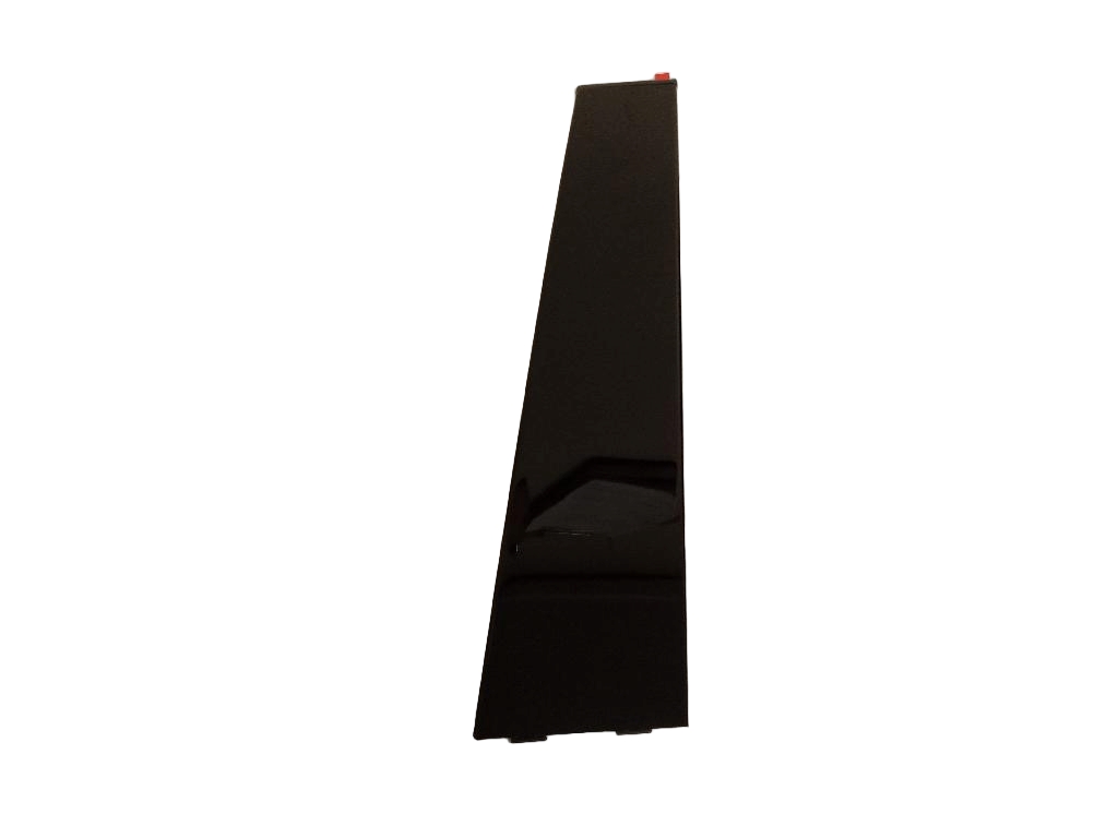 Left Rear Door Moulding