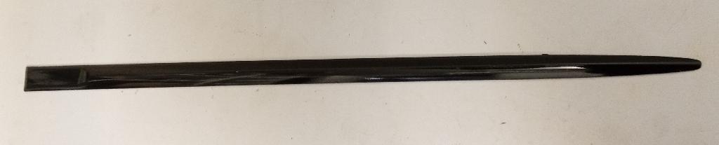 Left Rear Door Moulding