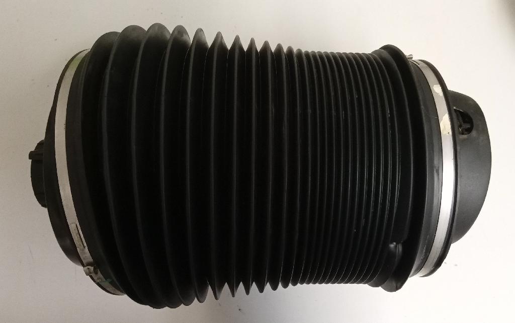 Left Rear Air Suspension Spring