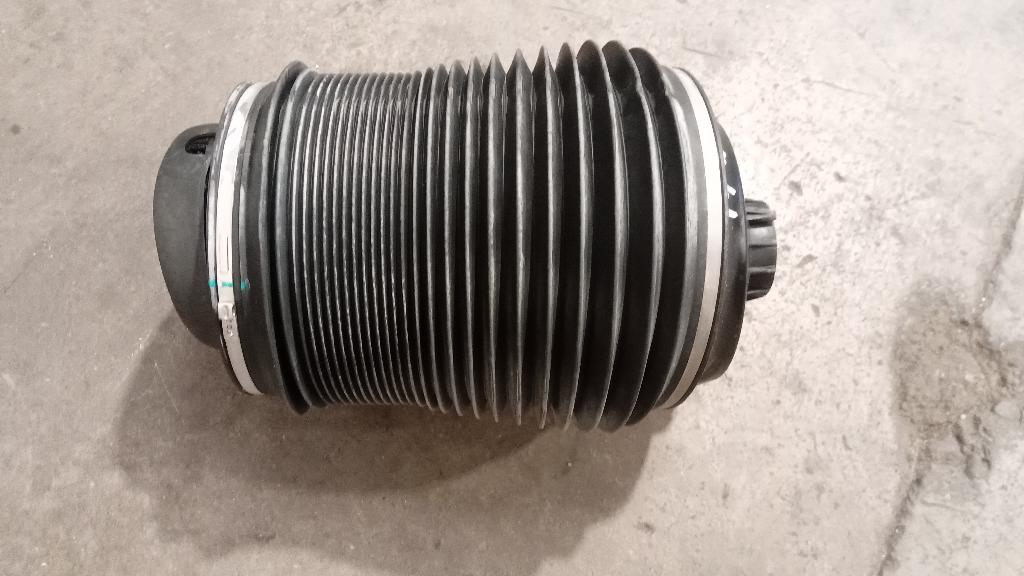 Left Rear Air Suspension Spring