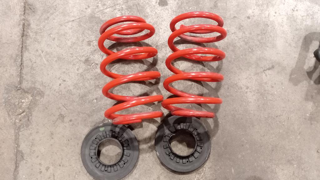 Rear Coil Springs