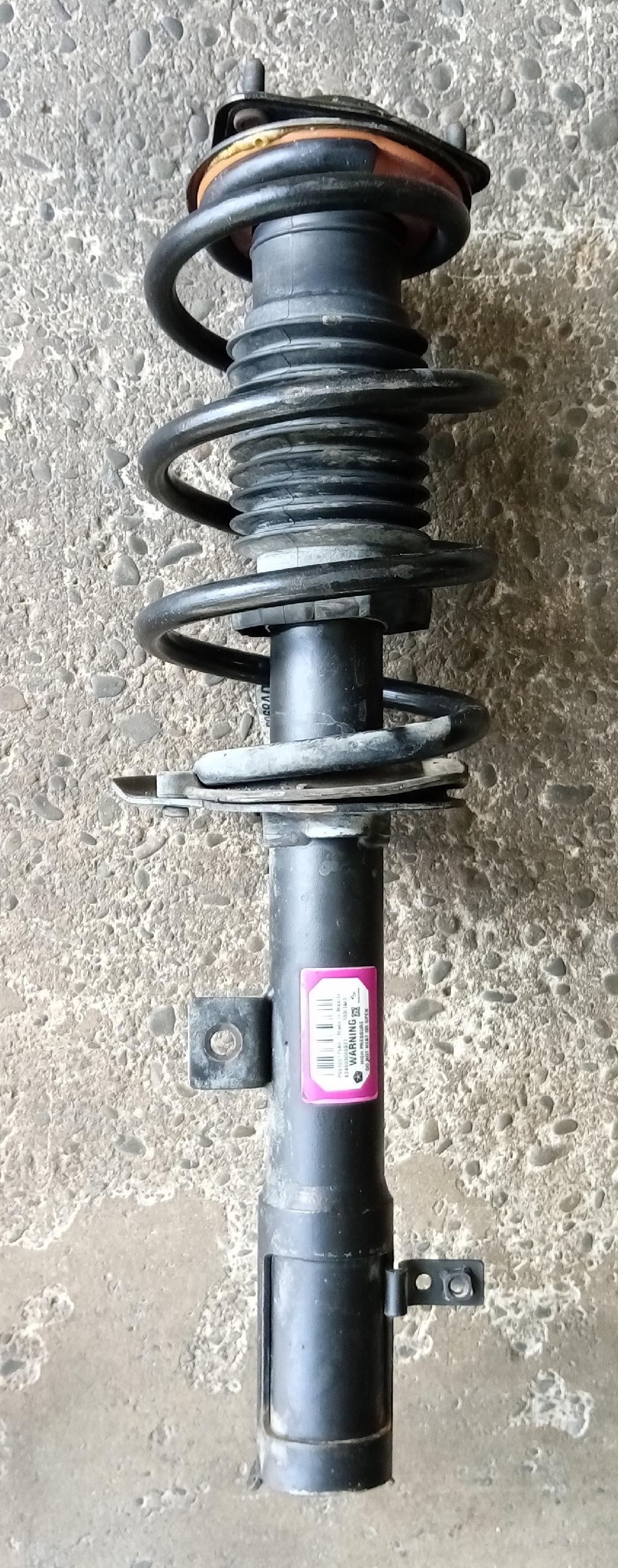 Left Front Strut
