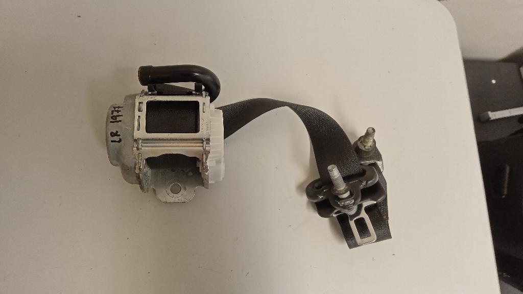 Left Rear Seat Belt