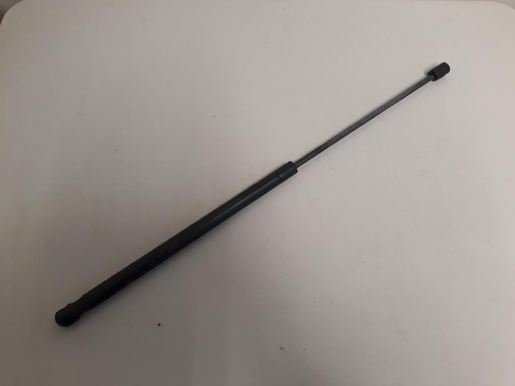 Bonnet Gas Strut