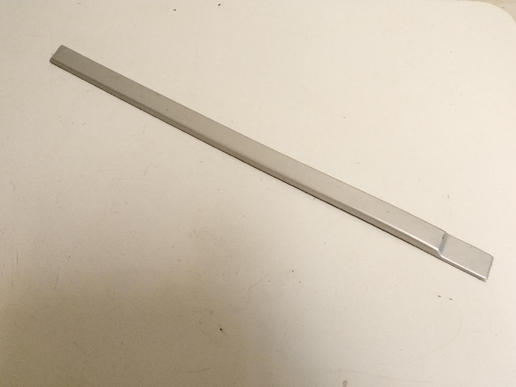 Right Rear Door Moulding
