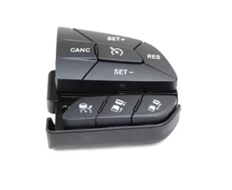 Cruise Control Switch