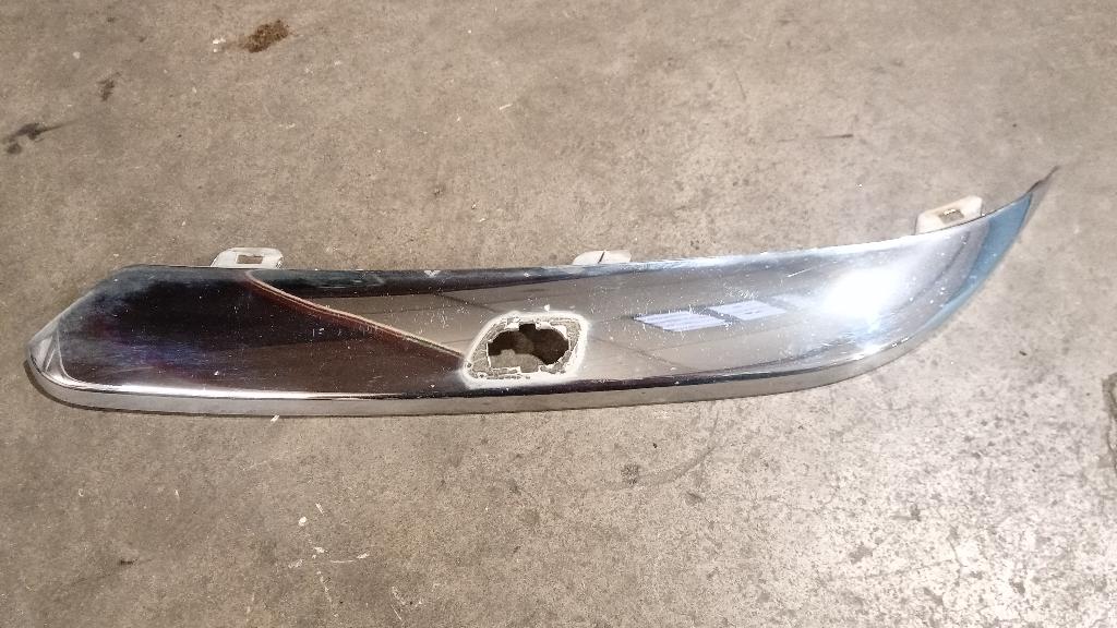 Front Bumper Moulding