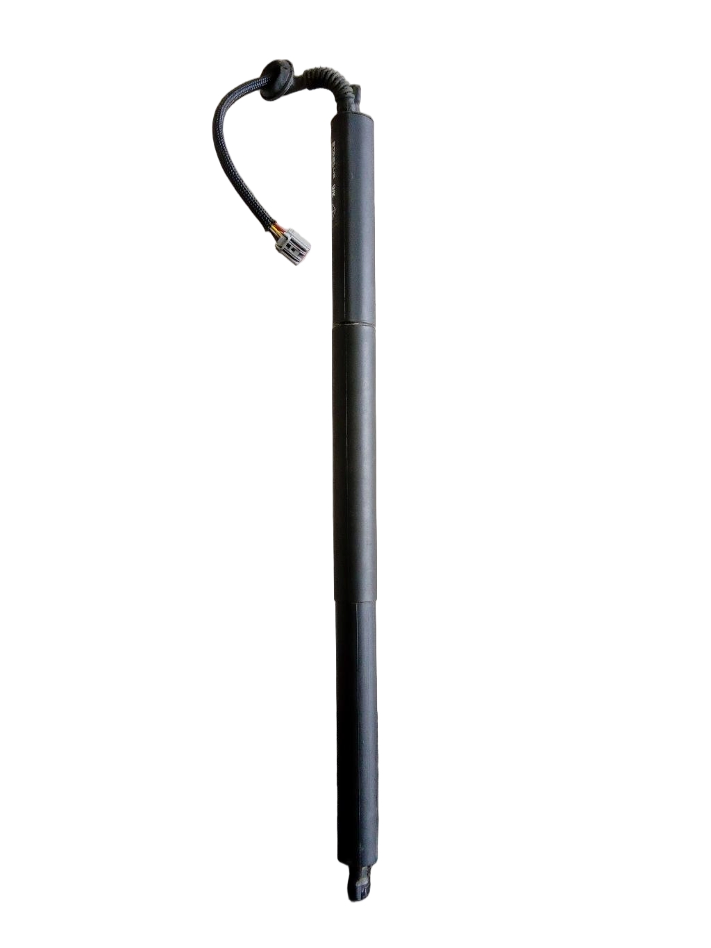 Left Tailgate Strut
