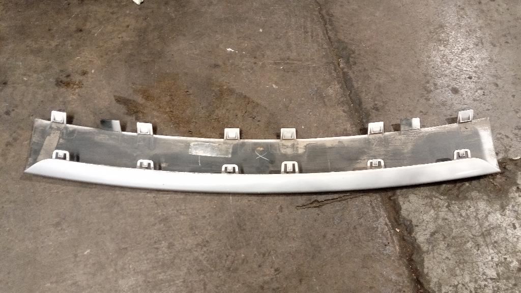 Front Bumper Moulding