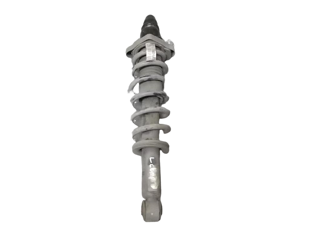 Rear Suspension Strut