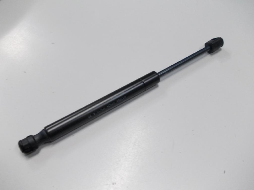 Bootlid Gas Struts