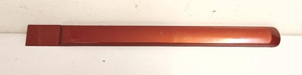 Left Rear Door Moulding