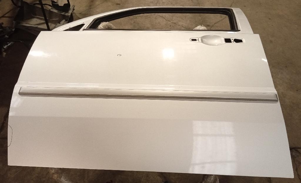 Left Front Door Shell