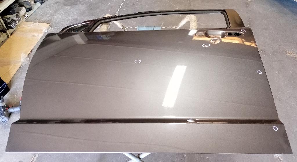 Left Front Door Shell