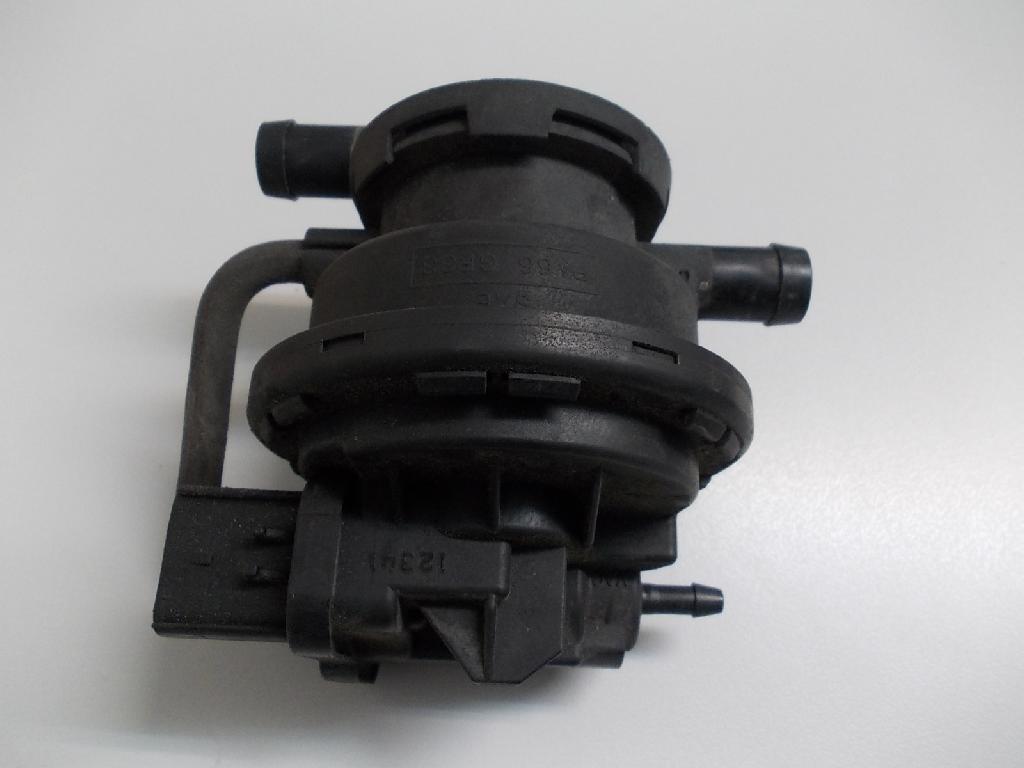 Leak Detection Pump V6